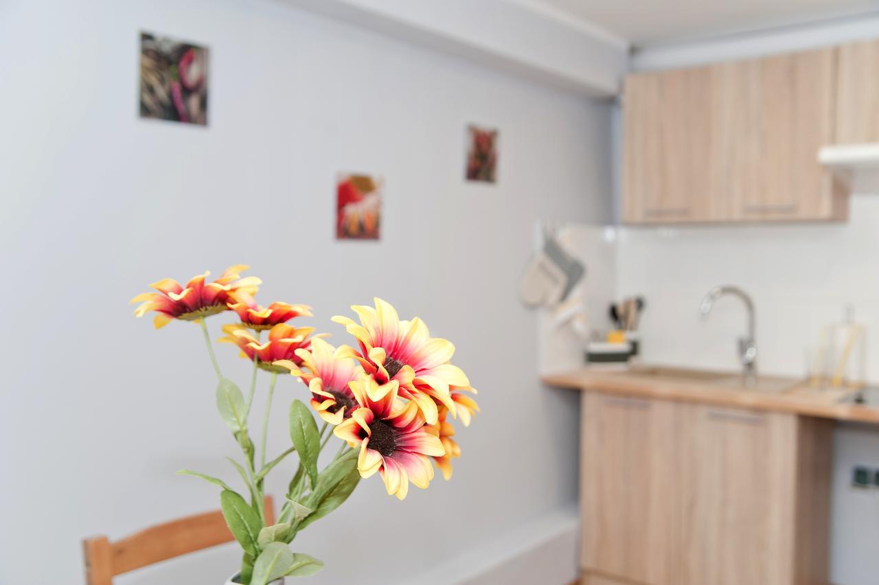 Grey House Hostel Wroclaw Luaran gambar